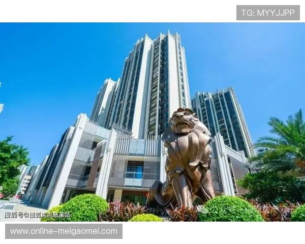 美高梅网站提供的多样化娱乐项目分析